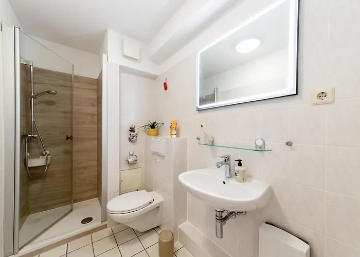 Sanddorn - شاربوتس